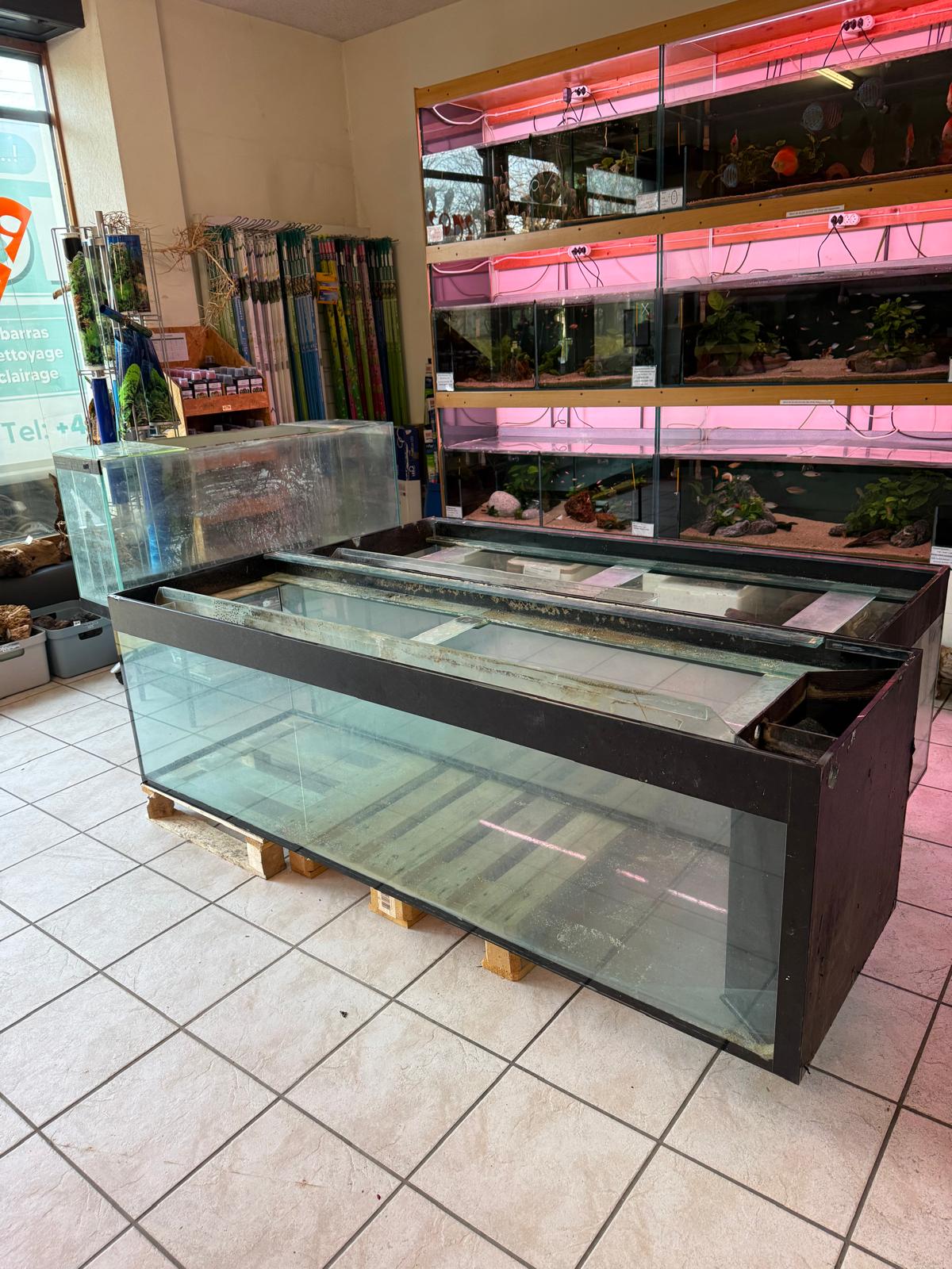Manutention délicate d'un aquarium par TOP8